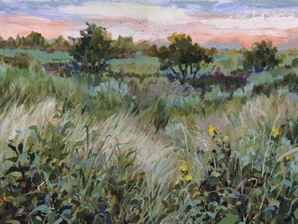 Wild Meadow Dusk *